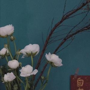 艳星丹尼尔斯吞精视频
